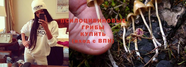 герыч Верхний Тагил