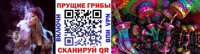 дарнет шоп  Усть-Катав  мориарти состав  Псилоцибиновые грибы мухоморы 
